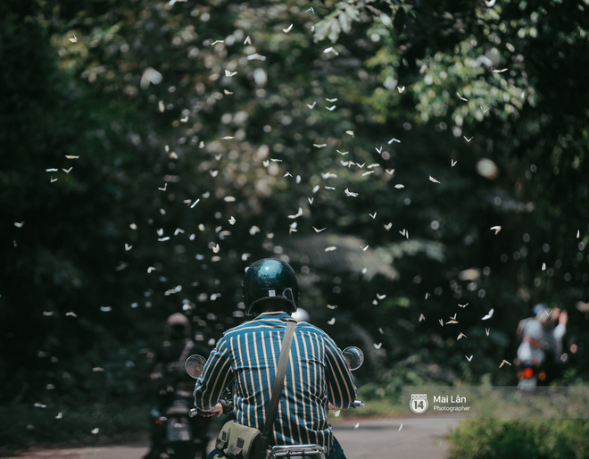 Video rừng Cúc Phương vào mùa bướm: Đẹp như một giấc mơ Video rừng Cúc Phương vào mùa bướm: Đẹp như một giấc mơ